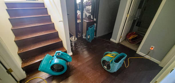 Best Carpet water damage restoration  in Rocky Point, WA