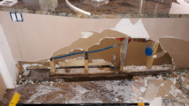 Best Basement water damage restoration  in Rocky Point, WA