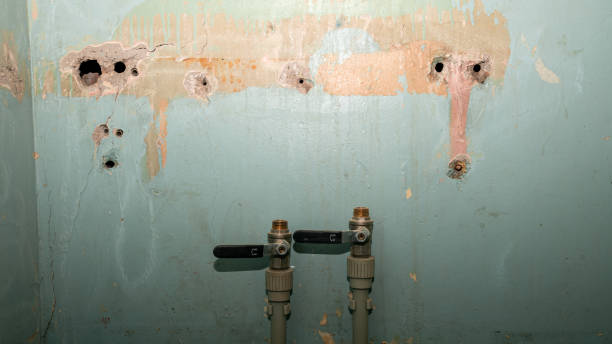 Best Water damage cleanup near me  in Rocky Point, WA