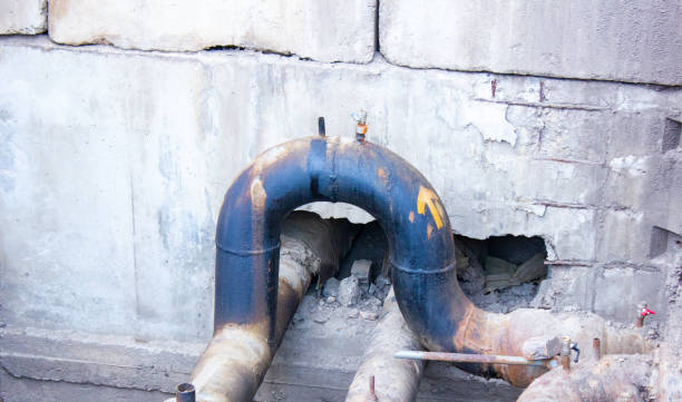 Best Local water damage restoration  in Rocky Point, WA
